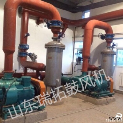 反沖洗風(fēng)機(jī) 鍋爐除塵風(fēng)機(jī) 膜清洗風(fēng)機(jī) 輸送風(fēng)機(jī) 返料抽料風(fēng)機(jī)