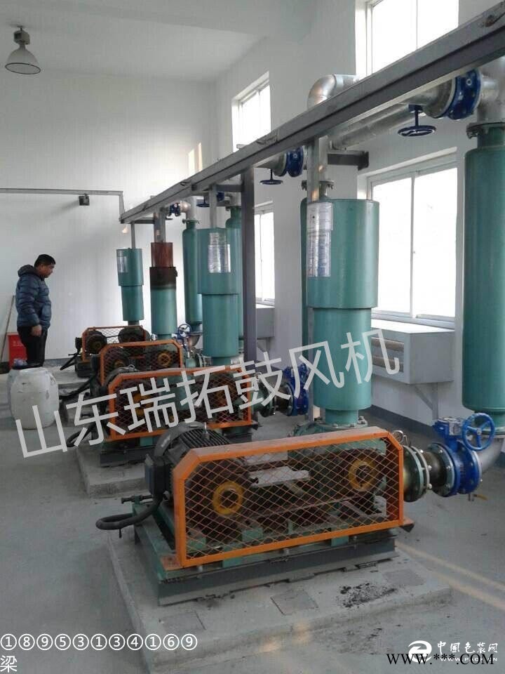 節(jié)能高效三葉羅茨風(fēng)機(jī)羅茨鼓風(fēng)機(jī)優(yōu)質(zhì)瑞拓風(fēng)機(jī)廠家直銷 包郵