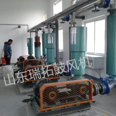 節(jié)能高效三葉羅茨風(fēng)機(jī)羅茨鼓風(fēng)機(jī)優(yōu)質(zhì)瑞拓風(fēng)機(jī)廠家直銷 包郵
