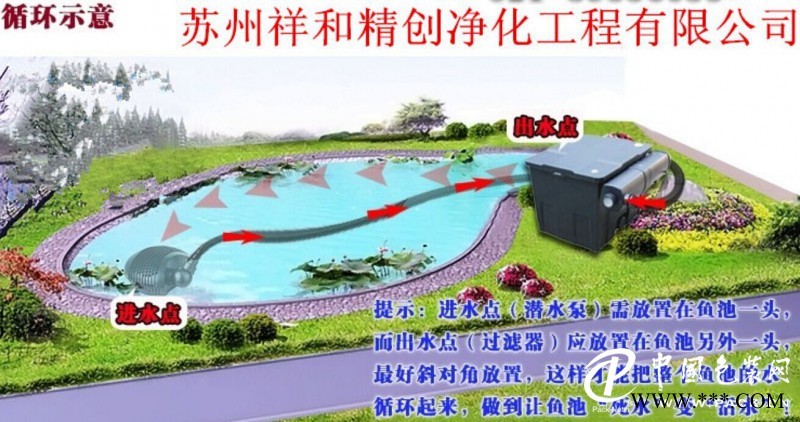 魚(yú)池水處理過(guò)濾凈化_有信譽(yù)的魚(yú)池水處理過(guò)濾凈化
