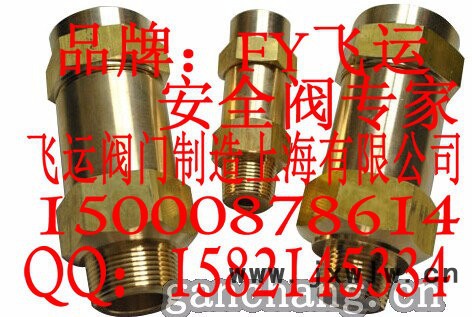 FY飛運供應空調制冷安全閥冷凝器蒸發(fā)器冷凍機安全閥SFA-22C300T安全閥