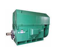 壓縮機(jī)專用電機(jī)YKS系列YKS5003-2 1400KW 6KV三相異步電動(dòng)機(jī)