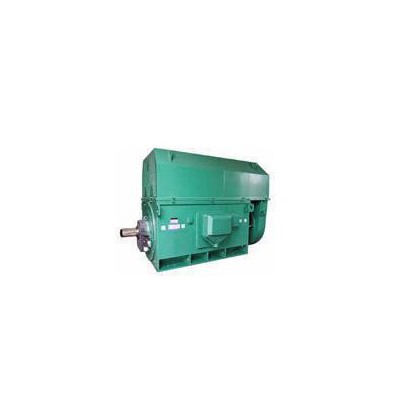 壓縮機(jī)專用電機(jī)YKS系列YKS5003-2 1400KW 6KV三相異步電動(dòng)機(jī)