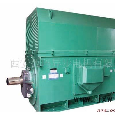 壓縮機(jī)用電機(jī)Y系列Y4507-12 200KW 6KV高壓三相異步電動(dòng)機(jī)