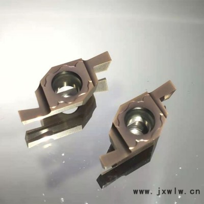 鄞州雙雷刀具   FGVR100/200/300/400端面槽刀片 硬質(zhì)合金端面槽刀片 可定制 廠家銷售