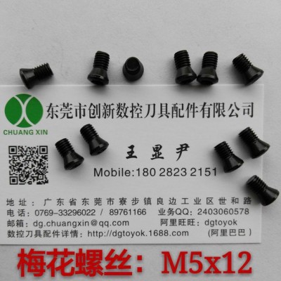 數(shù)控刀具配件  梅花螺絲M5x12   車刀壓板  銑刀壓板  紅旗扳手