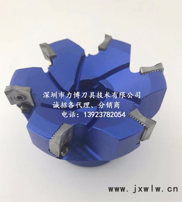 LEEPPLE品牌面銑刀盤 高光鋁刀盤 電腦 平板電腦面銑鋁用刀盤 數(shù)控刀具 面銑刀盤