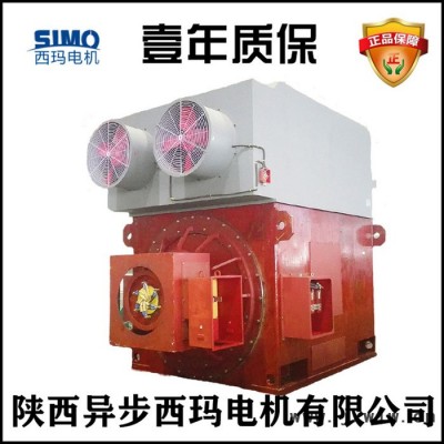 西馬電機(jī)YRKK8003-8-2500KW-B3臥式拉絲機(jī)配套電機(jī)