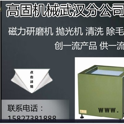 供應(yīng)河北滄州磁力拋光機找我高固機械直銷給您帶來更優(yōu)的服務(wù)與價格