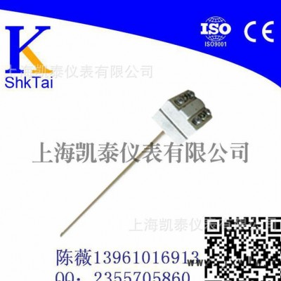 工業(yè)爐行業(yè)專用熱電偶 測溫0-1200度鉑銠熱電偶