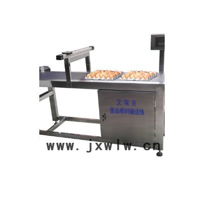 整托蛋品噴碼輸送機(jī)