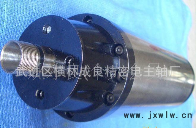雙11活動價(jià)[成良電機(jī)品質(zhì)的保證]防塵防水模具雕刻機(jī)電主軸