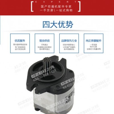 柳工挖掘機(jī)發(fā)動(dòng)機(jī)先導(dǎo)齒輪泵11C0122