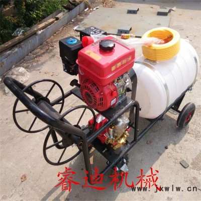 睿迪牌汽油發(fā)動機(jī)打藥機(jī)300升發(fā)動機(jī)打藥機(jī)手推式打藥機(jī)
