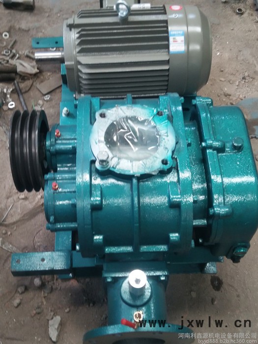 LYSR200風(fēng)機 廠家批發(fā)羅茨鼓風(fēng)機 羅茨風(fēng)機現(xiàn)貨 負(fù)壓羅茨風(fēng)機