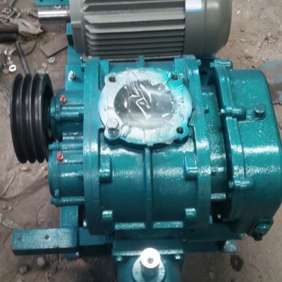 LYSR200風(fēng)機 廠家批發(fā)羅茨鼓風(fēng)機 羅茨風(fēng)機現(xiàn)貨 負(fù)壓羅茨風(fēng)機