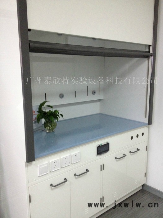 供應(yīng)泰欣特實驗室專用設(shè)備通風(fēng)柜-排風(fēng)櫥系列