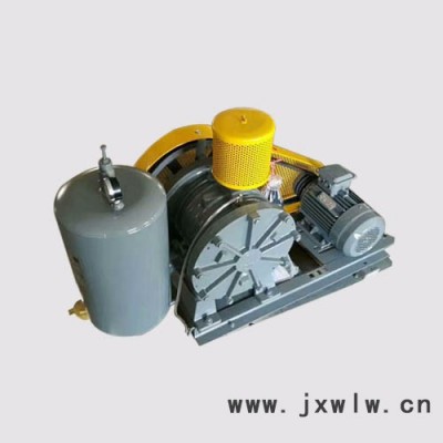 低壓羅茨風(fēng)機(jī)  HZ-401S回轉(zhuǎn)風(fēng)機(jī)  鼓風(fēng)機(jī)用途