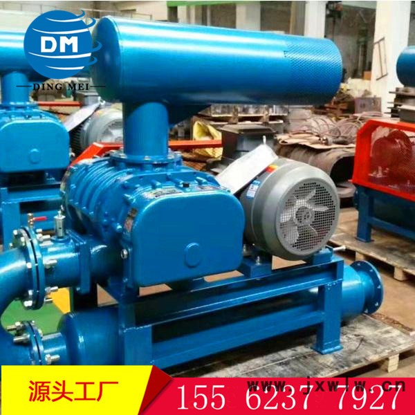 羅茨鼓風(fēng)機(jī)  羅茨鼓風(fēng)機(jī) 直聯(lián)羅茨風(fēng)機(jī) 飼料石灰粉專用羅茨風(fēng)機(jī)