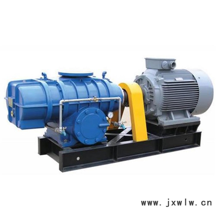 恒宇 羅茨風(fēng)機(jī) 三葉羅茨風(fēng)機(jī) 高壓羅茨鼓風(fēng)機(jī) 羅茨鼓風(fēng)機(jī)生產(chǎn)廠家