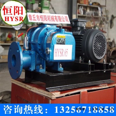恒陽HYSR150H 高壓羅茨鼓風機 三葉羅茨風機 羅茨鼓風機/