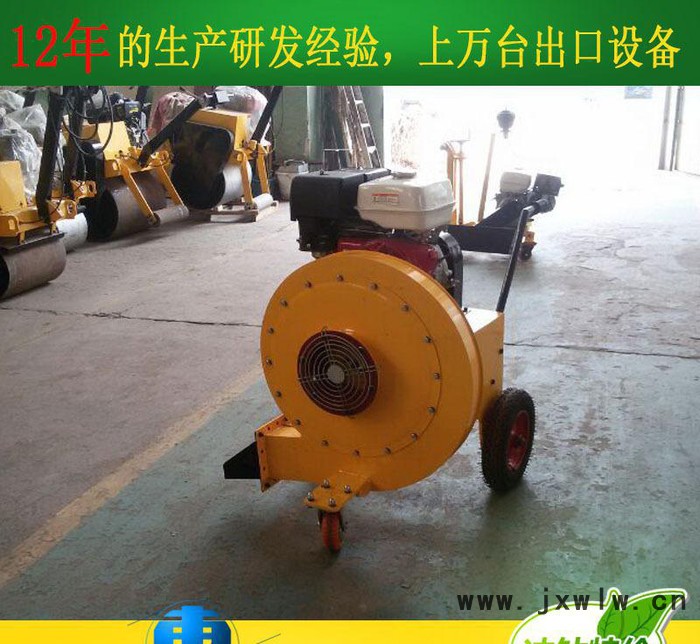 手扶式路面吹風(fēng)機(jī) 馬路吹風(fēng)機(jī) 路面清理吹風(fēng)機(jī)價(jià)格 吹風(fēng)機(jī)質(zhì)量