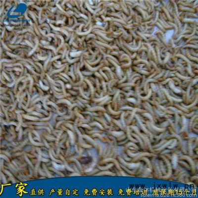 濟(jì)南黑水虻微波干燥設(shè)備價格 面包蟲活蟲烘干膨脹設(shè)備