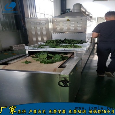 安徽中藥材穿透式微波干燥設(shè)備 博州中草藥微波烘干滅菌設(shè)備