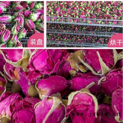 新款玫瑰花烘干機(jī) 玫瑰花茶熱泵干燥設(shè)備