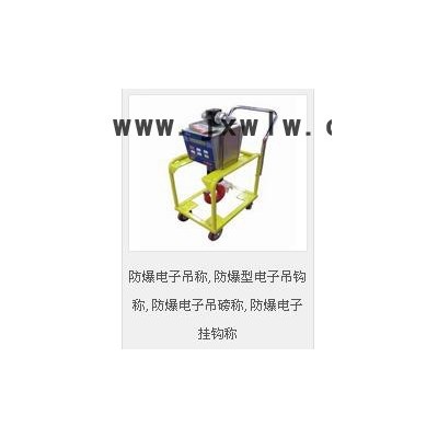 臺柯衡器OCS-XC-D防爆電子吊秤,防爆型電子吊鉤稱,防爆電子吊磅稱,防爆電子掛鉤稱