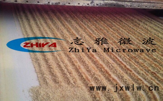 馳騰CT-5P微波干燥設(shè)備大棗烘干機(jī)