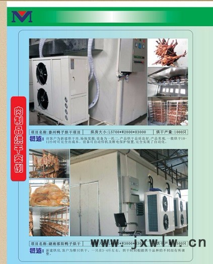 耐朗Nl-KEF-30II其他干燥設(shè)備廣西臘鴨烘干設(shè)備