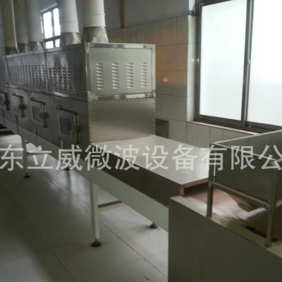 山東立威微波設備專業(yè)面條干燥殺菌設備機械設備干燥設備