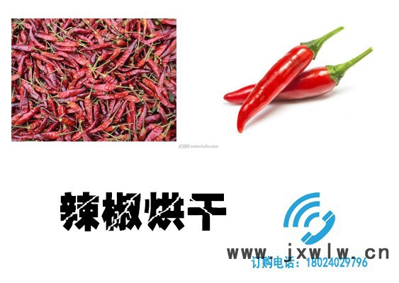 辣椒烘干機，辣椒烘干設備，辣椒干燥設備，辣椒熱泵烘干機