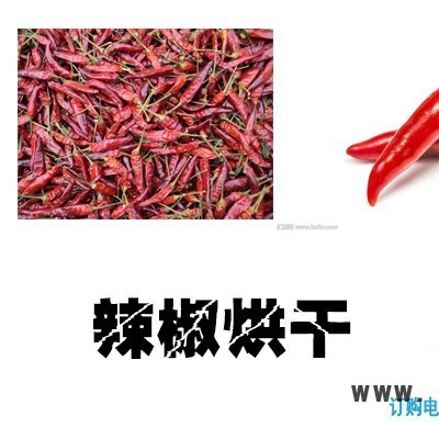 辣椒烘干機，辣椒烘干設備，辣椒干燥設備，辣椒熱泵烘干機