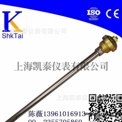 專業(yè)制造溫度儀表 WRN-130無固定裝配式熱電偶長度3米