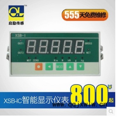 供應(yīng)XSB-IC 高速智能顯示儀表 高精度 快響應(yīng)速度 稱(chēng)重測(cè)量實(shí)驗(yàn)儀表 遼寧 上海 廣州 北京 江蘇 浙江 安徽 山西