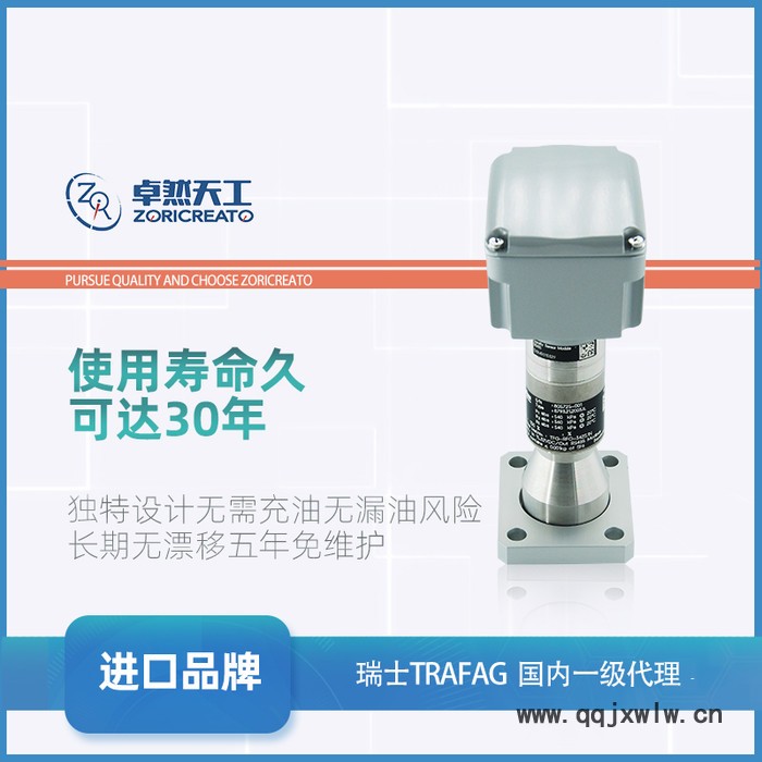 TRAFAG/瑞士SF6氣體密度壓力表 軸向壓力表 智能 精密 氣體 壓力 控制器 瑞士TRAFAG氣體分析儀