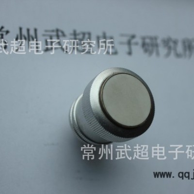 直探頭 超聲波直探頭無損檢測耗材 探頭 1.25P 20