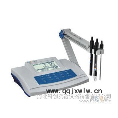/上海儀電/上海精科/上海雷磁DZS-706-A型多參數(shù)水質(zhì)分析儀
