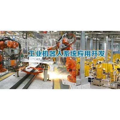供應(yīng)工業(yè)機械手系統(tǒng)編程，機器人控制系統(tǒng)集成