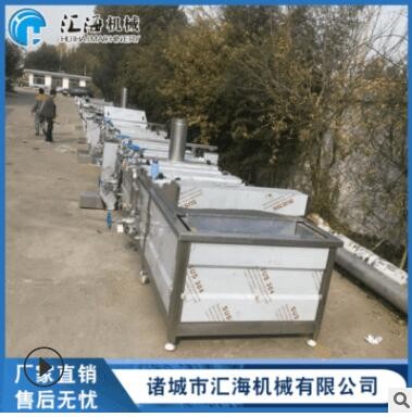 辣椒清洗機生產(chǎn)線 大型氣泡蔬菜清洗機 果蔬清洗加工設(shè)備生產(chǎn)線