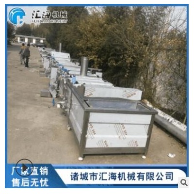 辣椒清洗機生產(chǎn)線 大型氣泡蔬菜清洗機 果蔬清洗加工設(shè)備生產(chǎn)線