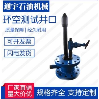 江蘇通宇石油機(jī)械廠家直銷環(huán)空測試井口