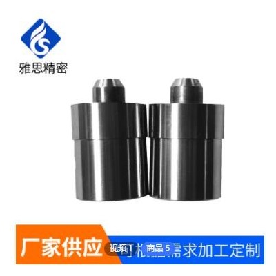 工廠定做304不銹鋼圓柱定位銷 沖針沖頭模具配件非標(biāo)定制