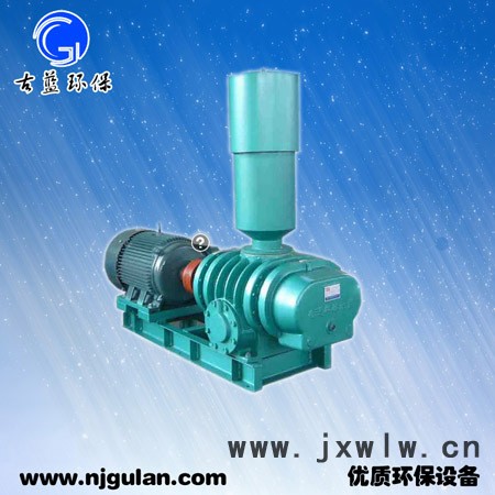羅茨風(fēng)機