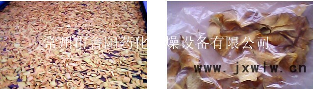 蔬菜帶式干燥機(jī)3_副本