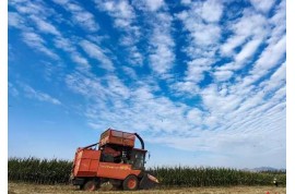 鄒城“三秋”農(nóng)田忙 新型適用機械亮相田間