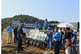 雙峰：推廣油菜機械化播種 助力農(nóng)戶增產(chǎn)增收